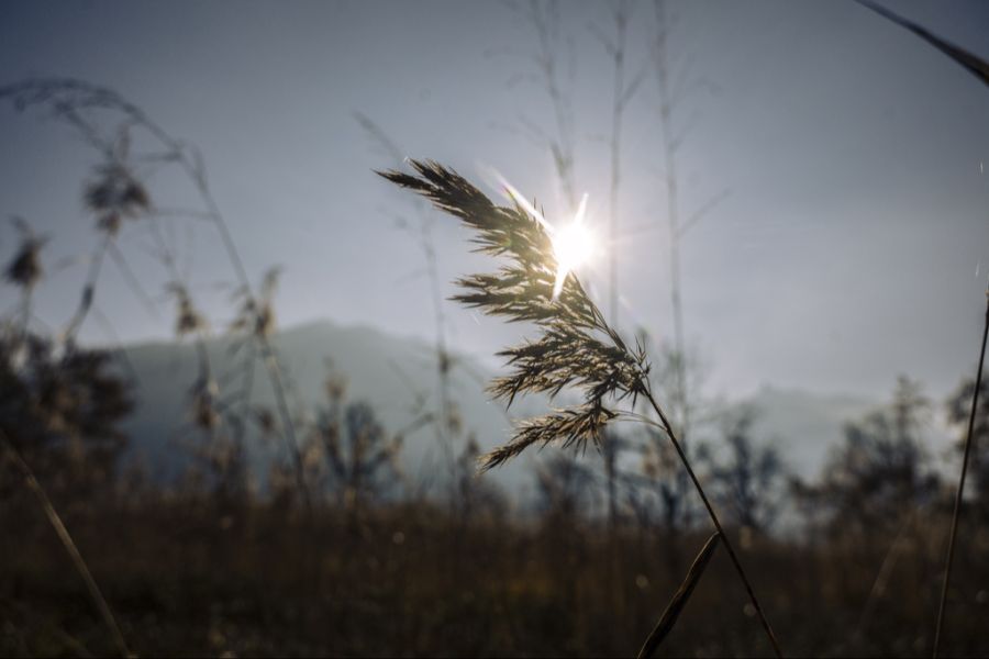 Vereinzelt zeigt sich die Sonne nochmals, bevor es kommende Woche zu einem Wetterumschwung kommt. (Symbolbild)