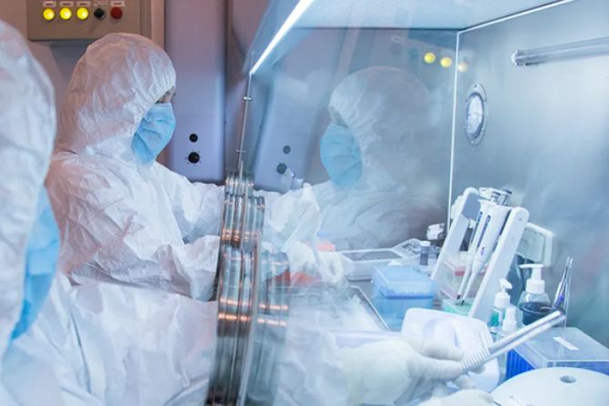 Irkutsk Labor Pest