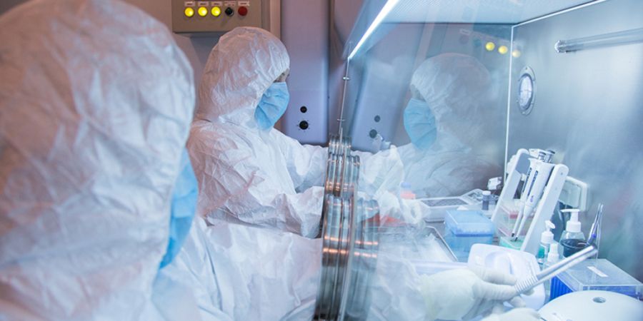 Irkutsk Labor Pest