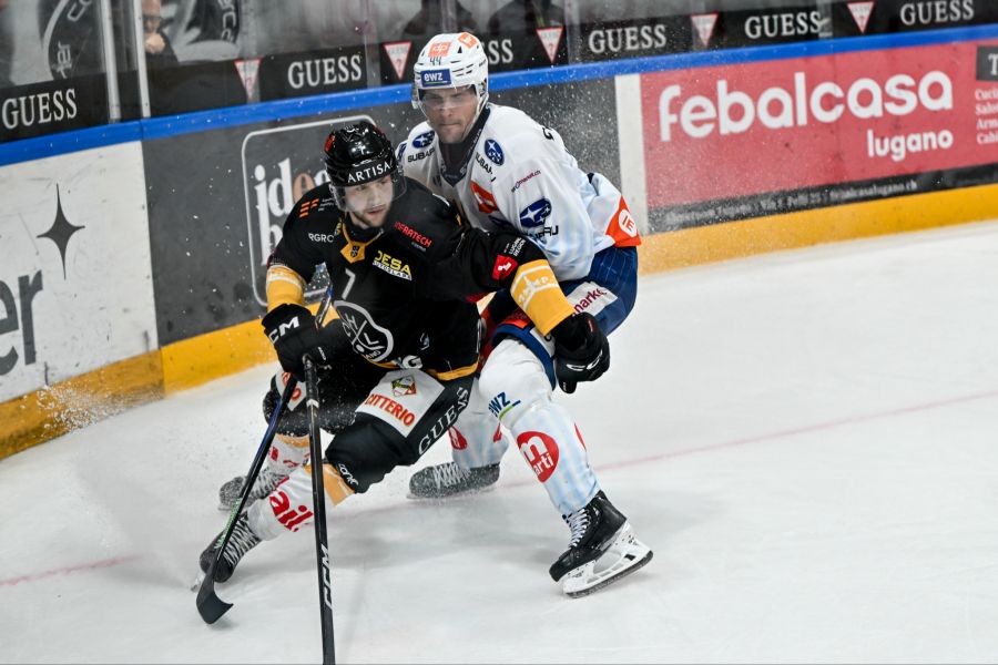 zsc lions