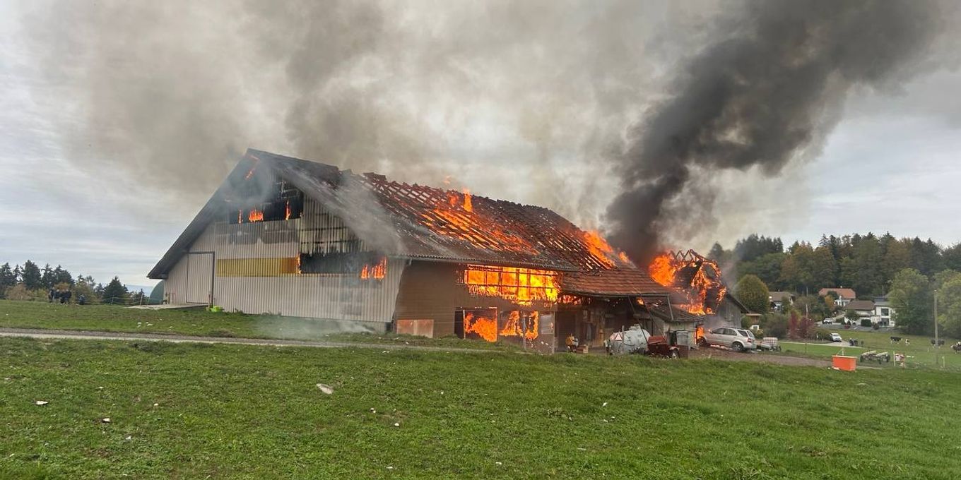 Fire destroys farmhouse in Brünisried; animals rescued