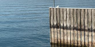Experte - Wir bräuchten monatelang Regen, um «Wasserdefizit» abzubauen