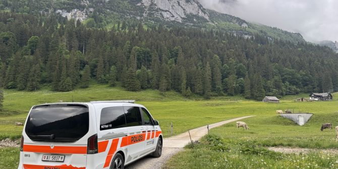 Alpstein AI