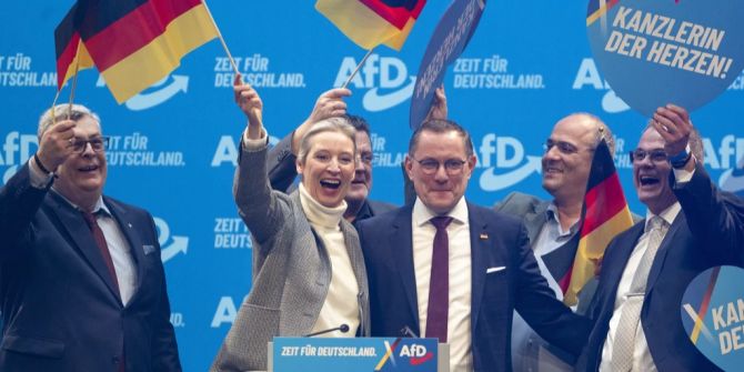 afd bundesparteitag fähnchen