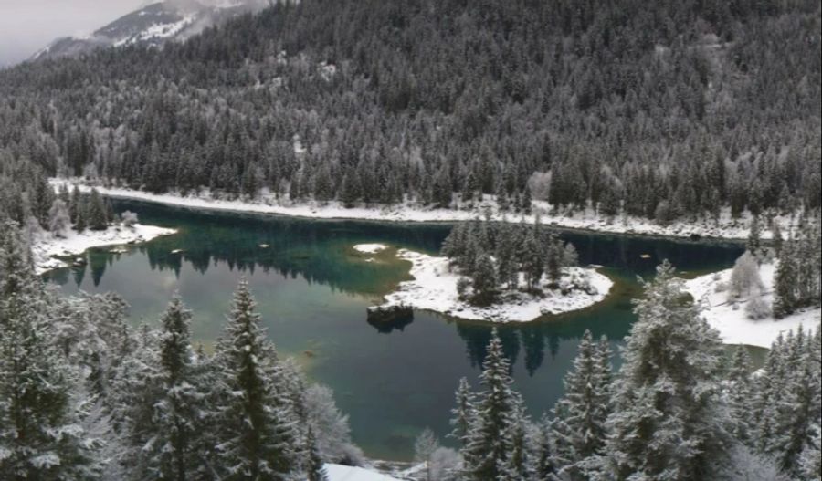 Ebenfalls weiss gepudert: Die Tannen rund um den auf 1017 Meter über Meer liegenden Caumasee in Graubünden.