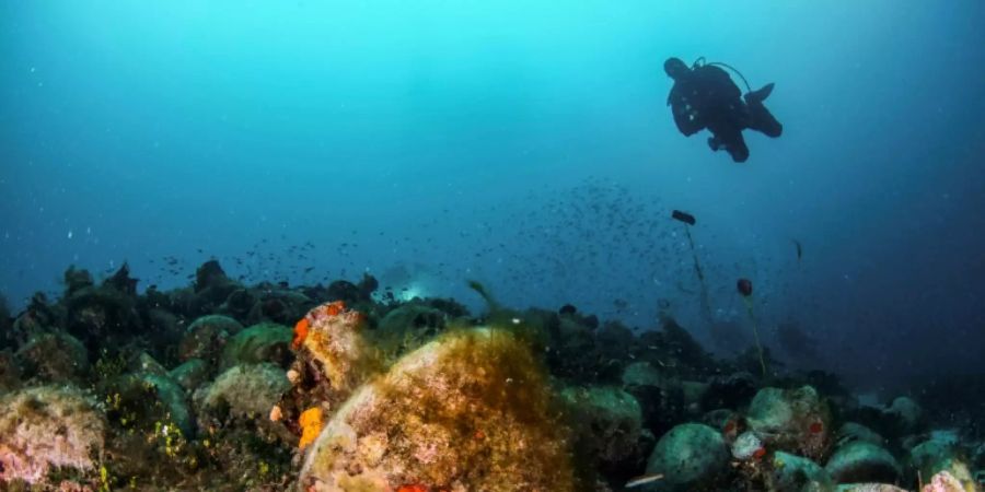 Griechenland erhofft sich steigende Touristenzahlen