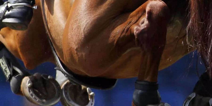 Der Reitsport-Weltverband FEI hat Tricksereien bei der Olympia-Qualifikation aufgedeckt. Foto: Malte Christians/dpa