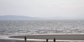 Meer
