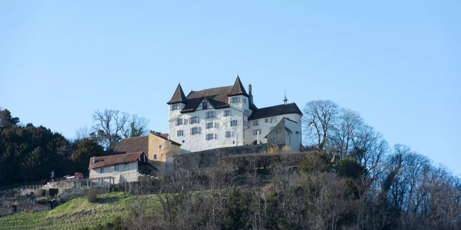 Schloss Wartenfels in Lostorf.