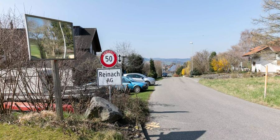 Die Einfahrt nach Reinach.