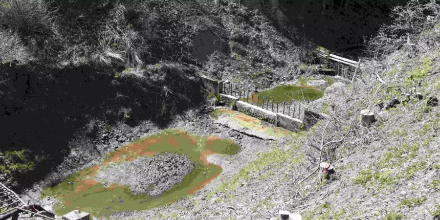 Mosnang SG: Gülle verunreinigte Bach.