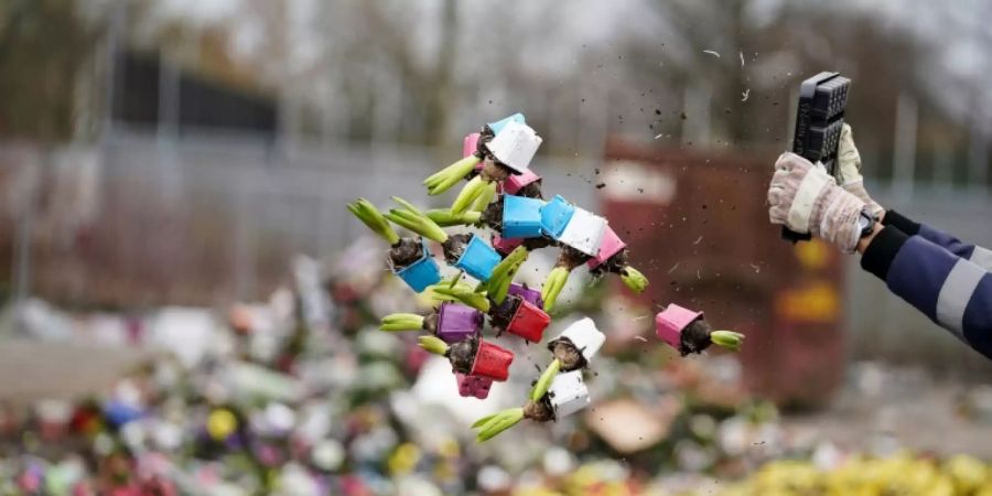 Blumenvernichtung im niederländischen Honselersdijk