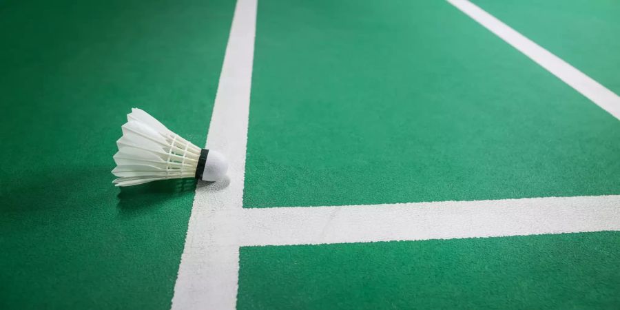 Federball Badminton