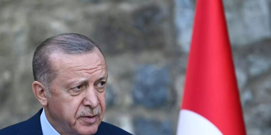 Der türkische Staatschef Erdogan