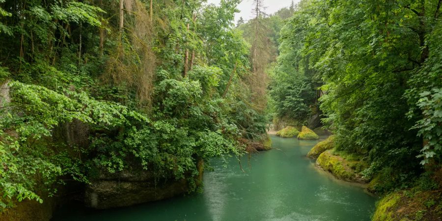 Die Aeulischlucht in Lichtensteig.