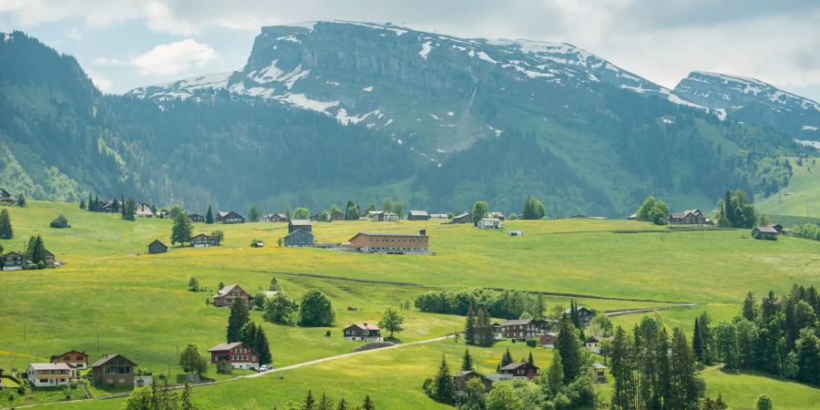 Toggenburger Landschaft bei Alt St. Johann.