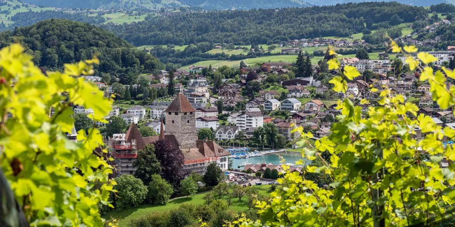 Blick auf die Gemeinde Spiez im Kanton Bern.