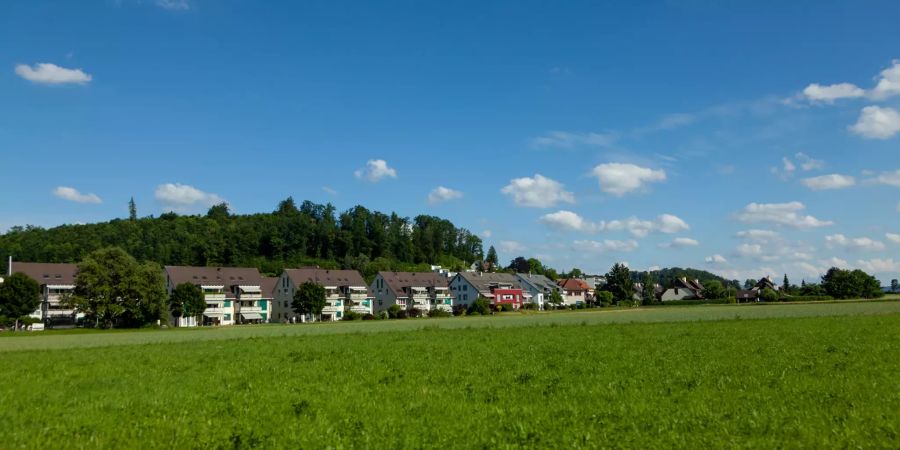 Aussicht auf Bachenbülach.