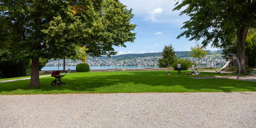 Der Spielplatz Platte in Thalwil.