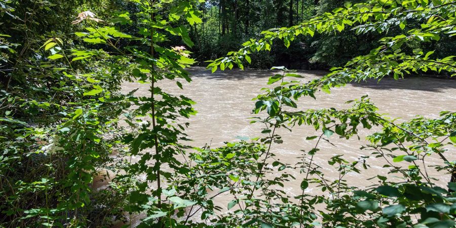 Die Sense bei Neuenegg hat Hochwasser.