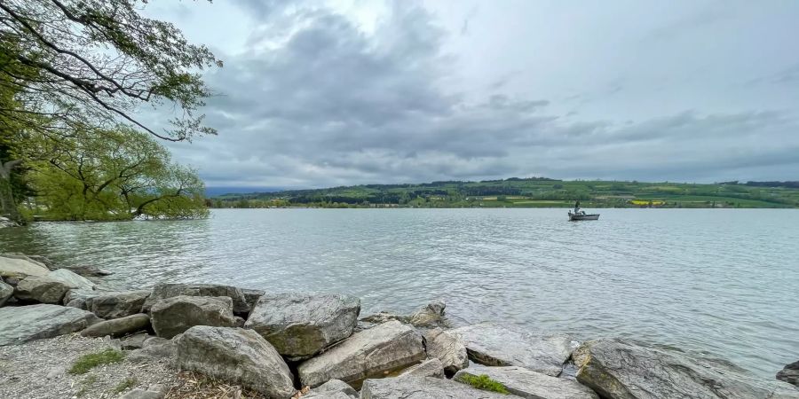 Der Sempachersee bei Sursee im Kanton Luzern.