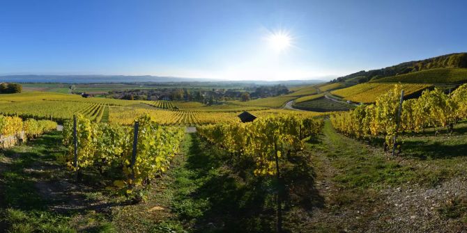 Panoramablick NAtur