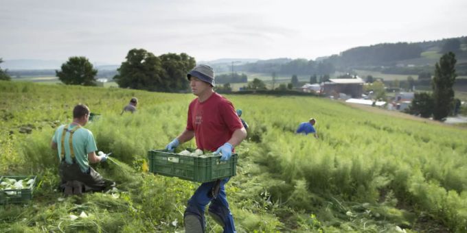 In regionale Produkte zu investieren, macht Sinn. bio