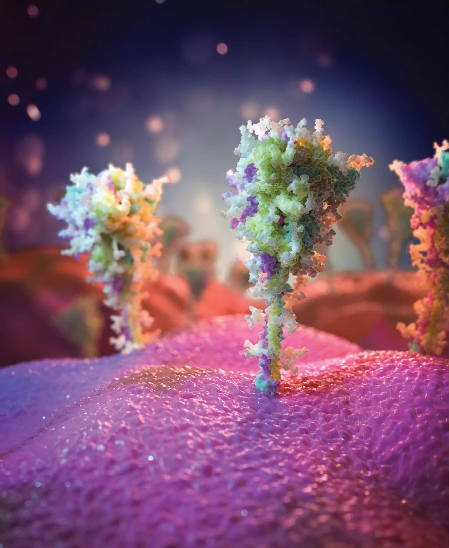 Coronavirus - Impfstoff Astrazeneca