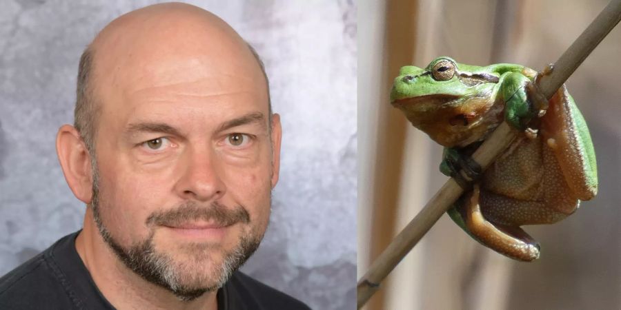 Patrick Schmid Grüne Wohlen