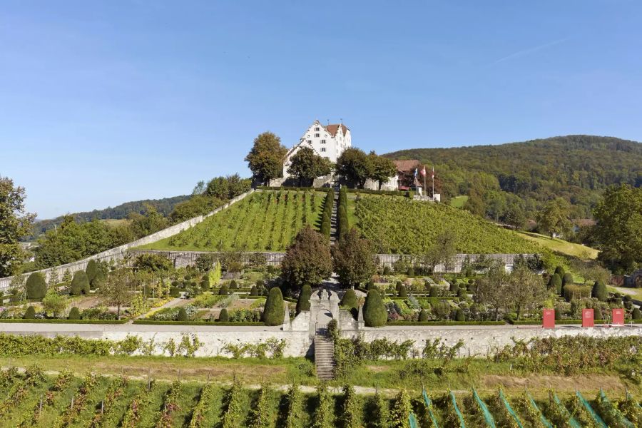 Schloss Wildegg