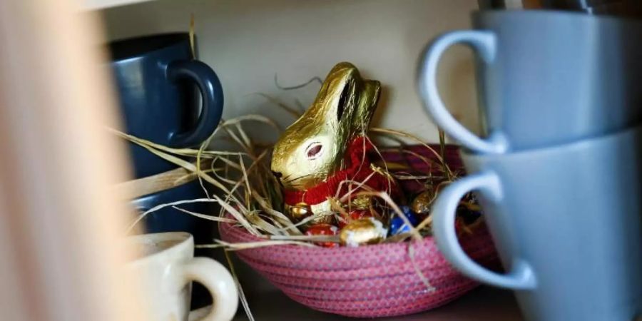 Ein Osternest mit Schokohase und Schokoladeneiern ist in einer Wohnung zwischen Geschirr im Schrank versteckt. Foto: Angelika Warmuth/dpa