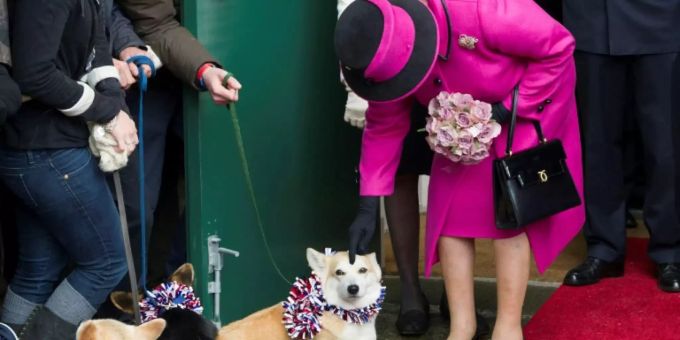 Die Queen liebt Corgis und Dorgis Die Queen liebt Corgis und Dorgis
