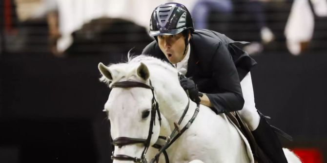 Fédération Equestre Internationale