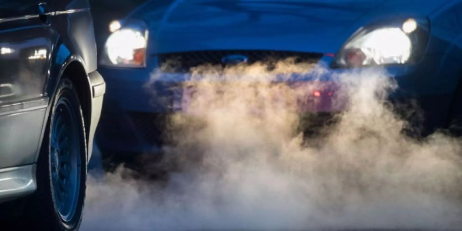 Grüne kritisieren «Klima-Koma» der Union