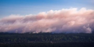 Waldbrand bei Lübtheen