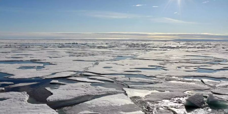 Auf dem Arktischen Ozean am Nordpol schwimmen mehrere Eisplatten (Archiv). Foto: Ulf Mauder