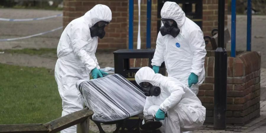 Hacker Fall Skripal