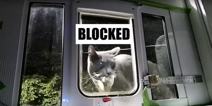 Neue Katzenklappe Halt Mause Ab