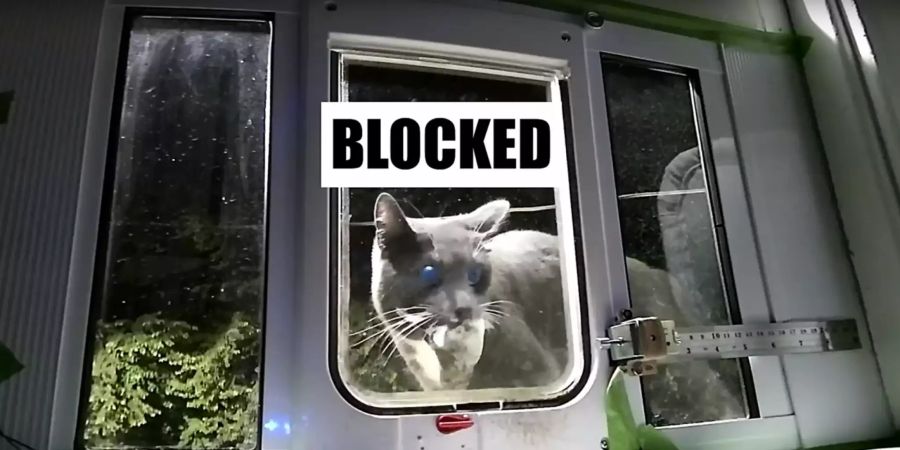 Katzenklappe