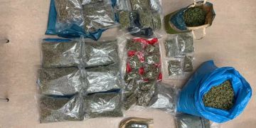 Hanf-Indoor-Anlage ausgehoben in Wädenswil ZH.