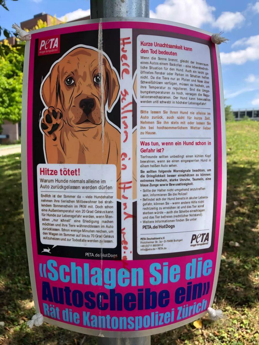 Das verschmierte Plakat.