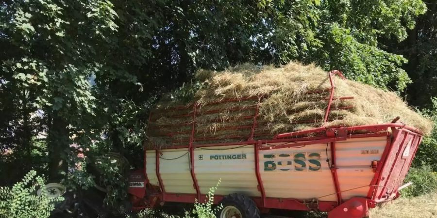 tödlicher unfall