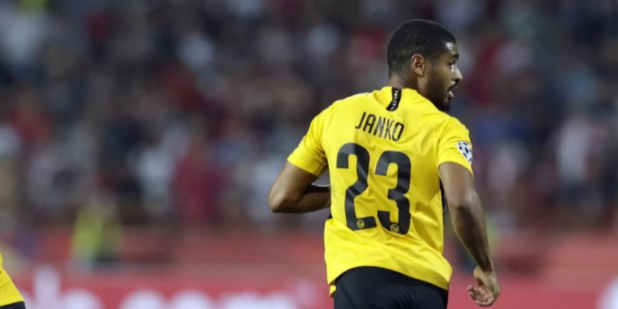 Janko YB
