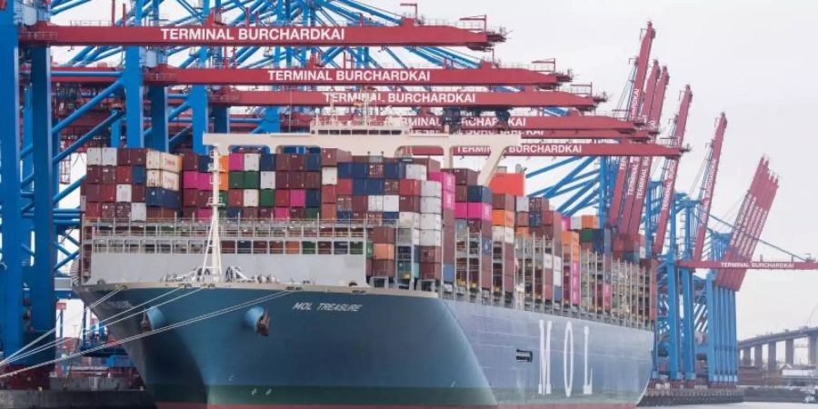 Das Containerschiff «Mol Treasure» liegt am Terminal am Burchardkai. Foto: Daniel Bockwoldt/Illustration