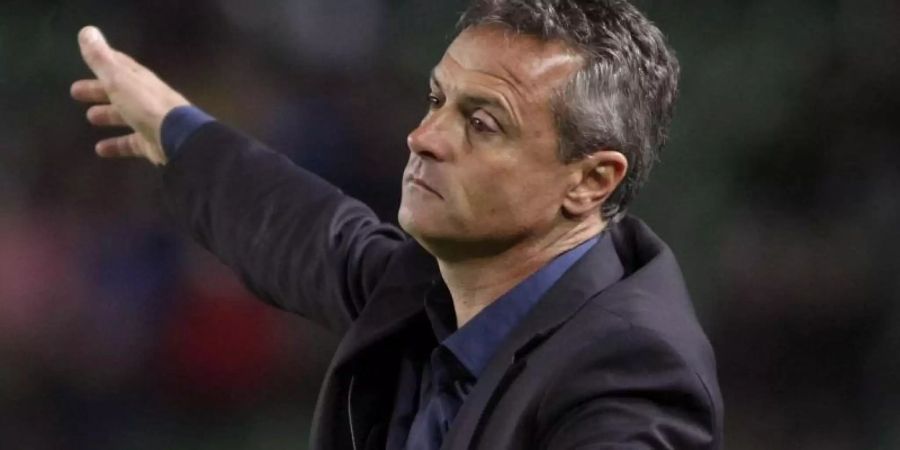 Trainer Fran Escribá soll Celta Vigo vor dem drohenden Abstieg bewahren. Foto: Morell/EFE