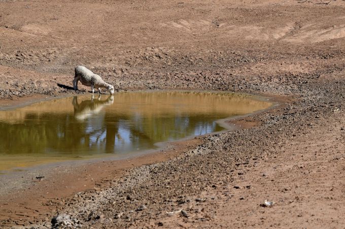 Wichtigstes Thema im Wahlkampf in Australien: der Klimawandel. Klimawandel Australien