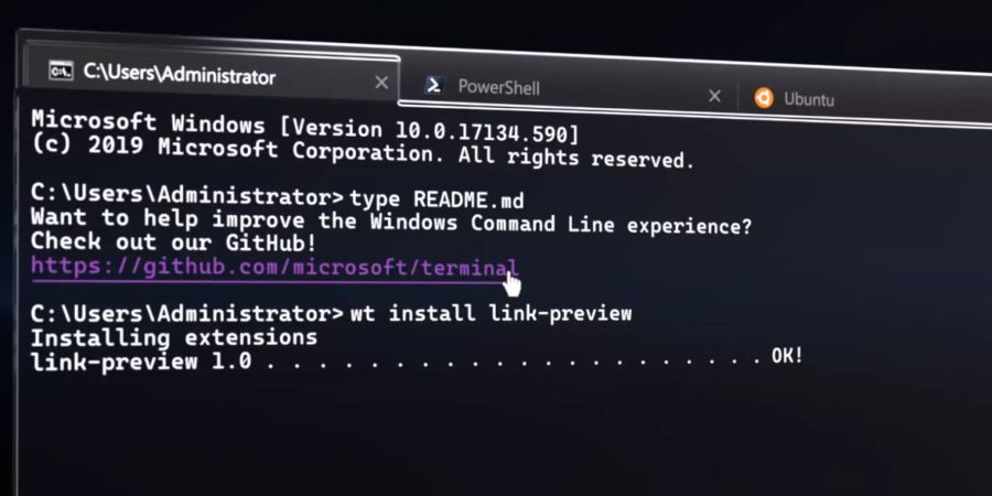 Microsoft Windows 10 Terminal