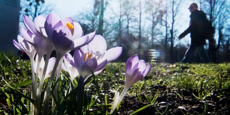 Frühling Wetter