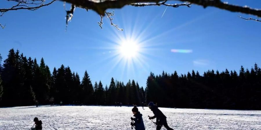 Der Harz erwartet am Wochenende frühlingshafte Temperaturen. Möglicherweise haben Wintersportler dann das Nachsehen. Foto: Swen Pförtner/Archiv