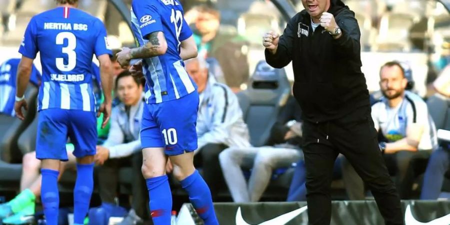 Herthas Cheftrainer Pal Dardai feuert von der Seitenlinie aus sein Team an. Foto: Andreas Gora